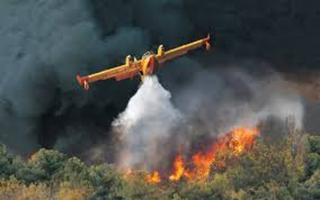 Protezione Civile Regionale, allerta incendio: PERICOLOSITA’ ALTA per la giornata di mercoledì 10 agosto 2022 .
