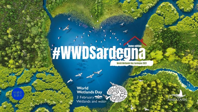 Comune di Terralba, World WetlandS Day 2021 - Torre Vecchia di Marceddì: sabato 13 febbraio diretta online dalle ore 15:30 alle 16:30.   